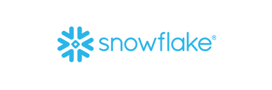 Snowflake Logo 2