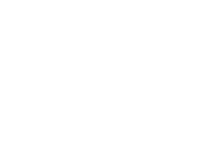 data bricks logo