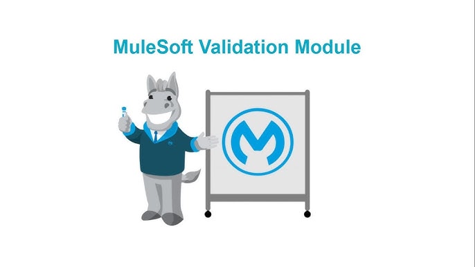 mulesoft validation