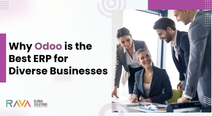 ERP Diverse Businesses