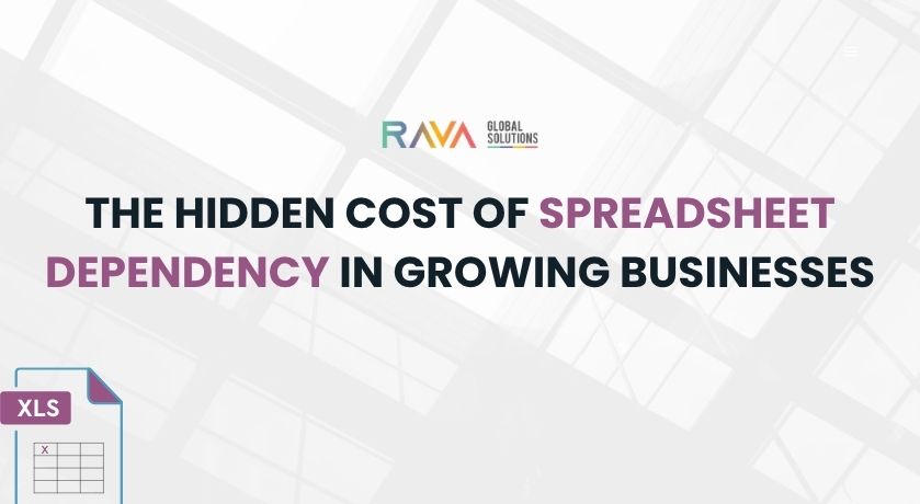 Growing business struggling with spreadsheet dependency and manual processes